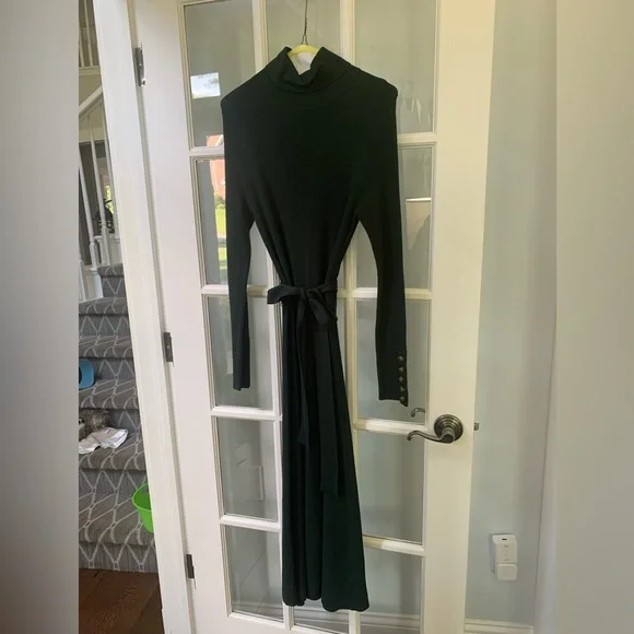 Alex Marie Dresses | Hunter Green Turtleneck Sweater Dress A Line Skirt And Belt | Color: Green | Size: M | Crysta_Rupramka's Closet